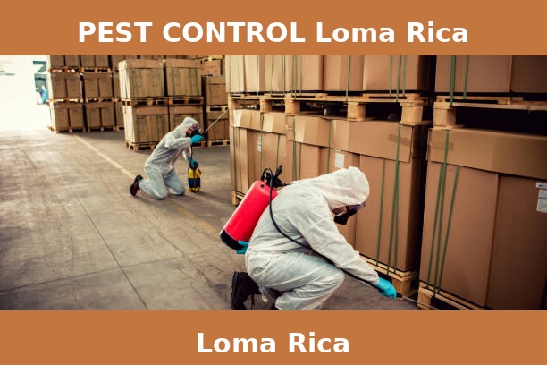 PEST CONTROL Loma Rica